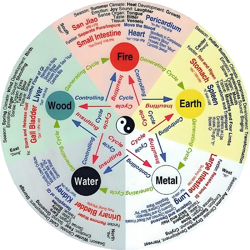 traditional chinese medicine yin and yang theory